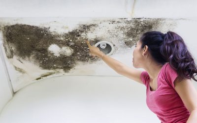 Jak odstranit plíseň ze zdi a zbavit se jí jednou pro vždy